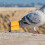 2St Professionele Pigeon Fluitjes Draagbaar Trainingsaccessoire ABS 10