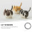 Whiskers Realistici In Per Ad Ago 7