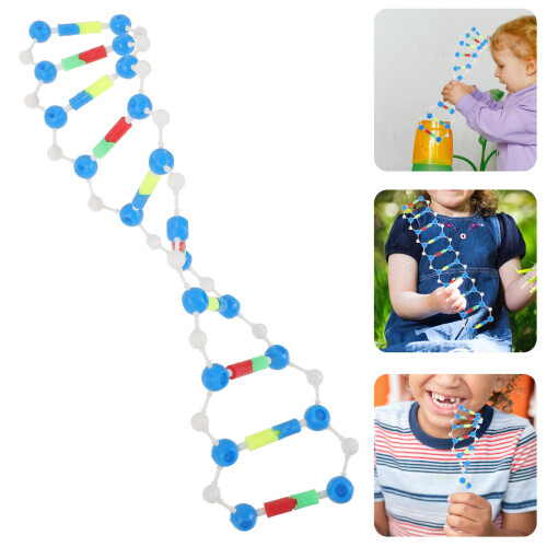 Dna Doppia Per Attività Studenti 1