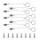 Set Cavo Sicurezza Acciaio Inox, Marini, Cinghia 6