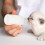 3 Unidades De Garrafas Silicone Para De Cães E 11