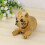 Car Decoratie Hond Bokser Interieur 9