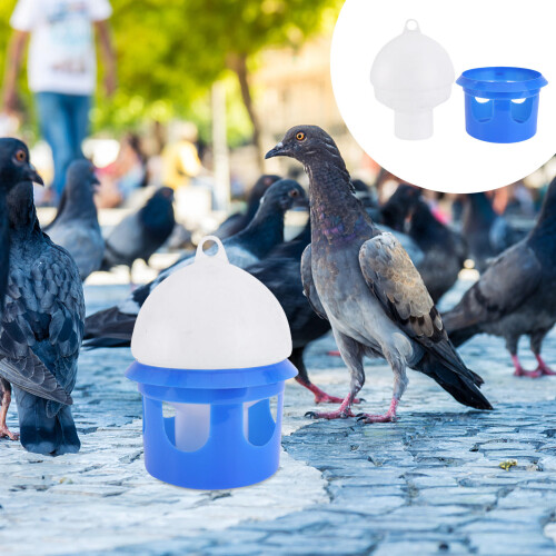 1 Vogel Waterautomaat Duif Watercontainer 2