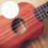 5 Juegos De Cuerdas Para Ukelele 21/23/26" De Nailon Resistente 6