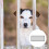 1 Valla Malla Perro Portátil Plegable Para 11