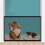 1 Valla Malla Perro Portátil Plegable Para 5