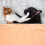 En Flanelle Pour Animal De Compagnie ( ) 4