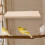 Lichtbruin Vogelzitstok Speelplatform Actieve Vogels 6