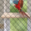 Lichtbruin Vogelzitstok Speelplatform Actieve Vogels 7