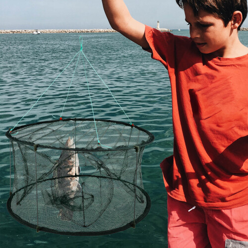 Filet Pliable Pour Multifonction À Appât Pour Crevettes 2