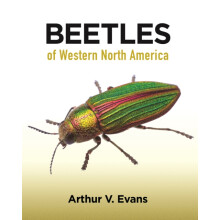 Beetles of Western North America by Arthur V. Evans Paperback Book