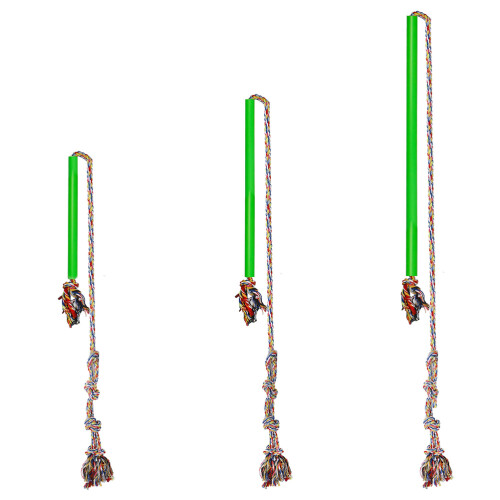 Pour Interactifs, Baguette À Flirter, Vert, Petit