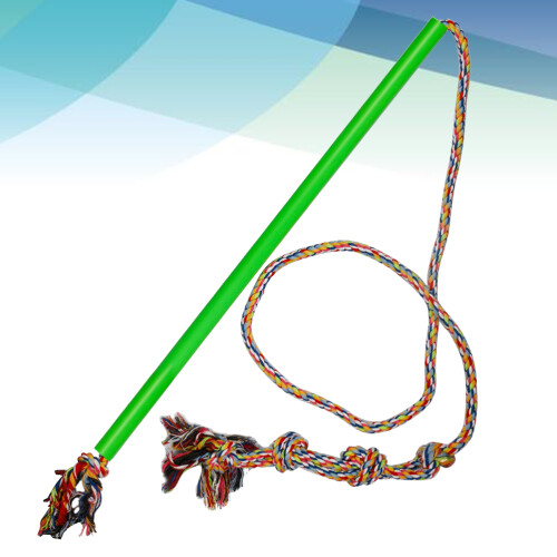 Pour Interactifs, Baguette À Flirter, Vert, Petit 1