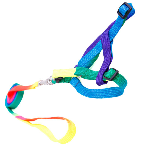 Coleira Ajustável De Nylon Para Cão Com Trela 1,0 Cm 2