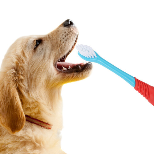 2Pcs Escova De Dentes Para Animais De Cabeça Com Flexível 1