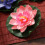 5 Unidades Flor Artificial Eva 10 Cm 7