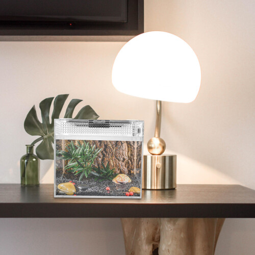 1 De Para Répteis E Animais De Rastejo 2