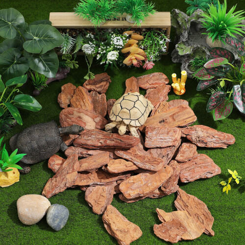 1 Répteis Casca Paisagismo 500 G 2