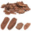 1 Répteis Casca Paisagismo 500 G 8