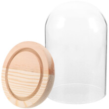 De Com Flor Preservada E Base Transparente