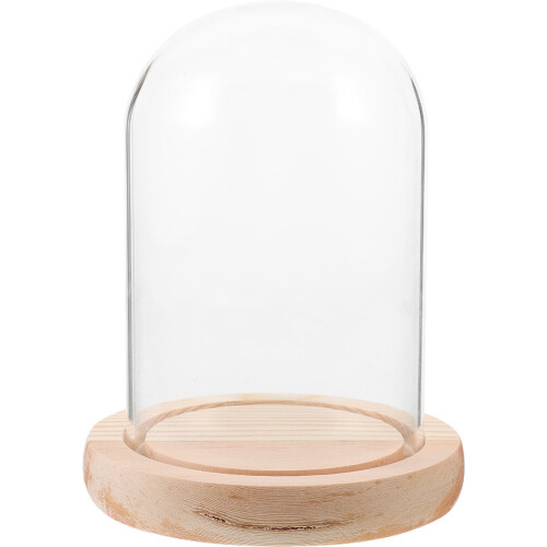 De Com Flor Preservada E Base Transparente 1