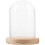 De Com Flor Preservada E Base Transparente 4