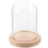 De Com Flor Preservada E Base Transparente 7