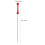 100Pcs Engångs Fruktpinnar Cocktail Dryckspinnar Fester 2
