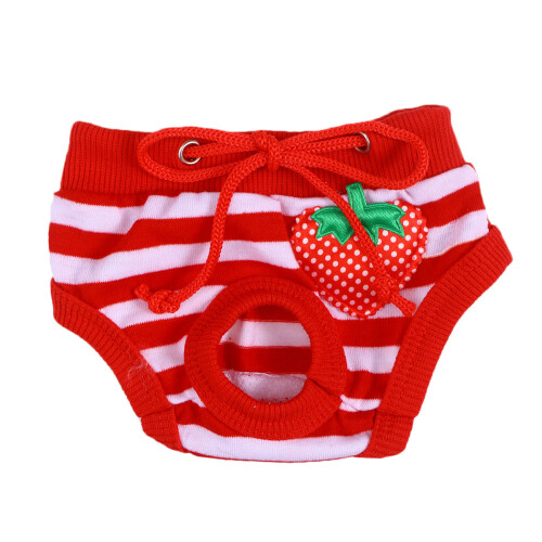 Culotte Hygiénique Lavable Pour Taille S Rayée