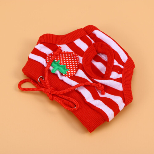 Culotte Hygiénique Lavable Pour Taille S Rayée 2