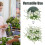 2 Pezzi In Schiuma 15 Cm Per Composizioni E Bouquet 4