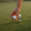 Outil De Réparation Divot Pour Golf En Alliage De Zinc 8