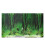 Fond D'aquarium Décor Arrière-plan Image Autocollant (Vert) 7
