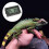 5 Mini Igrometro Wireless Con Sensore 10