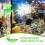 Set Distributore Gamberetti Trasparente Alimentazione 8