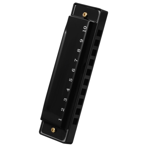 Harmonica 10 20 Professionale Per Principianti