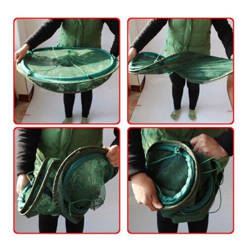 Rete Automatica Pieghevole In Per Gamberi Verde 50 Cm 1