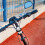 2 Portapanda Braccialetti A Per Bici E 4