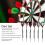 12Pcs Anti-Fall Dart Set with Sharp Stainless Steel Tips 20g 9