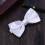 Bowtie De Poliéster Y Para , , 5