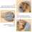 Almohada Para De Protección Para Mascotas Almohada Para 10