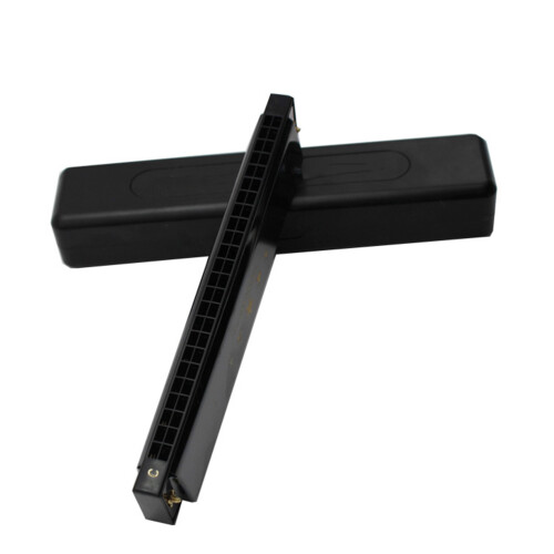 24 Trous Harmonica Tremolo Pour Débutant Instrument De
