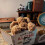 Fuddlewuddle Puppy Pluche Speelgoed Dier Knuffeldier Versierings Geschenk Kinderen 7