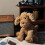 Fuddlewuddle Puppy Pluche Speelgoed Dier Knuffeldier Versierings Geschenk Kinderen 5