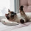3 Pièces Coussin Pour Chat Petit Protection Du Cou 10