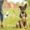 1 Set Distributeur De Pour Déjections Canines Portable 11
