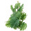 Aquarium Plastic Plant Vis En Reptieldecoratie 10