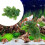 Aquarium Plastic Plant Vis En Reptieldecoratie 6