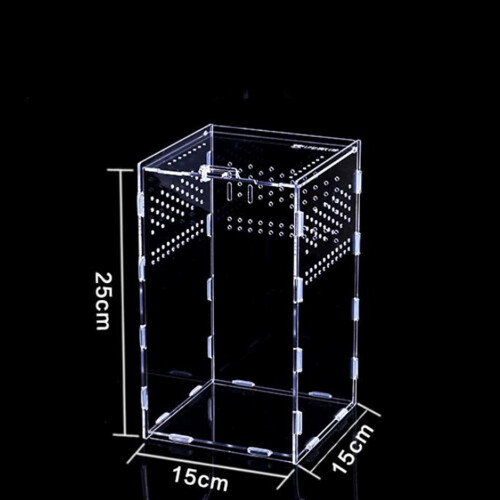 Pratico Box per Rettili in Acrilico Trasparente 15X15X25Cm 1