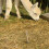 Fissaggio Per Cane, , Ancoraggio 11